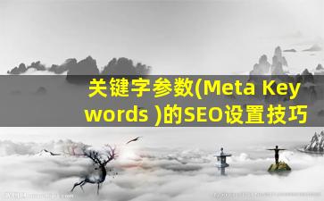 关键字参数(Meta Keywords )的SEO设置技巧